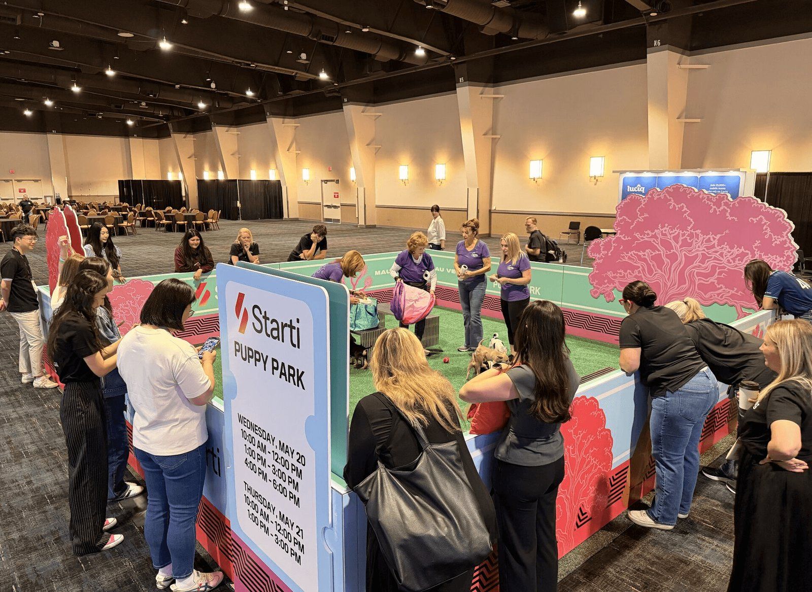 Beyond AI and CTV: The Story Behind Starti's Puppy Park
