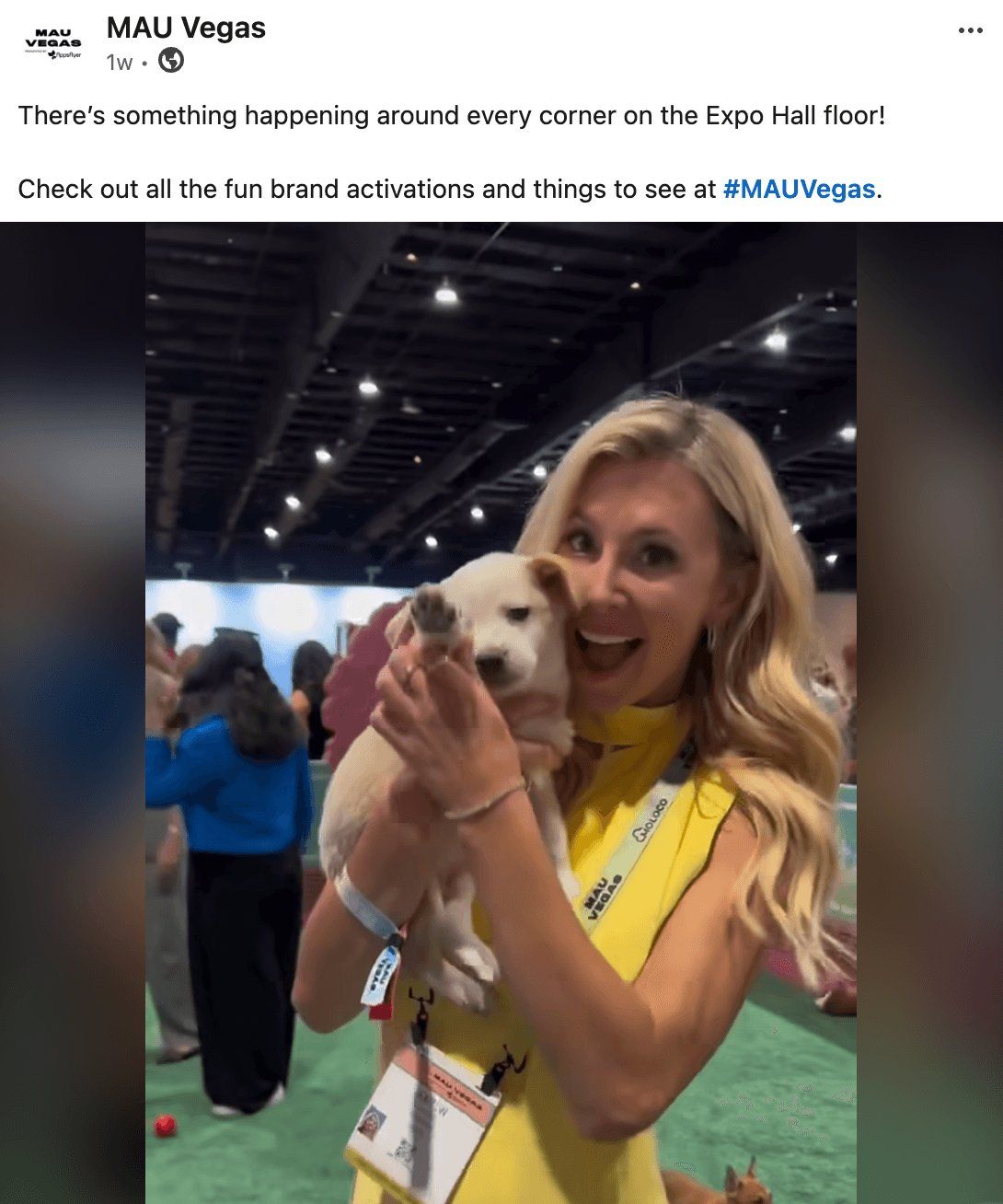 Beyond AI and CTV: The Story Behind Starti's Puppy Park